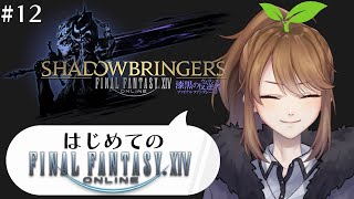 【FF14/ネタバレ有】漆黒の反逆者！嵐多き海へ！！【リトリッパー/Vtuber】