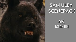 Sam Uley scenepack • CREDITS NEEDED!
