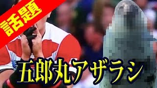 五郎丸歩選手（ラグビー日本代表）のキックするときの拝みポーズに似すぎているアザラシを発見