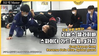 [리버스 데라히바 스파이더 가드 스윕 Easy Sweep from Reverse Dela Riva, Spider guard] 기본스윕부터 키스오브드래곤, 싯업가드 전환 스윕까지