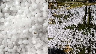 Ice pellets fall down in neitong village||mon Nagaland#