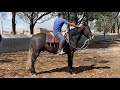 2das Enseñanzas Ya Montado a Capitán🐴, Video 1 de 2