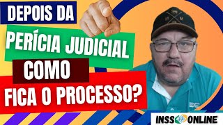 QUANDO PASSA NA PERÍCIA JUDICIAL O PROCESSO ACABA? QUANTO TEMPO DEPOIS DA PERÍCIA O JUIZ DA SENTENÇA