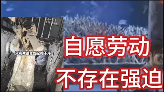 自愿工作的集装箱工人，用行动讲述：中国为什么是一个从不强迫劳动的地方