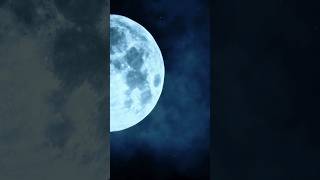 What's Hiding on the MOON? | The Dark Side of the Moon #shorts #moon #space