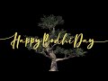 2 hour happy bodhi day background video with music