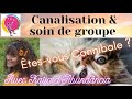 Etes-vous Cannibales ? Végan en partie inconscient ? (1ère Partie)