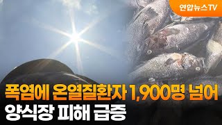 폭염에 온열질환자 1,900명 넘어…양식장 피해 급증 / 연합뉴스TV (YonhapnewsTV)