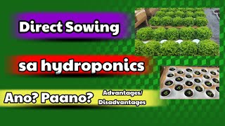 Direct Sowing | Hydroponics