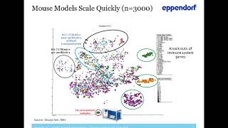 Towards Standardized Workflows - A focus on microbiome insights