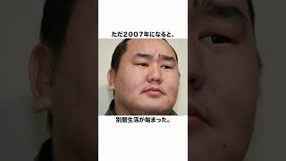 朝青龍の女事情に関する雑学