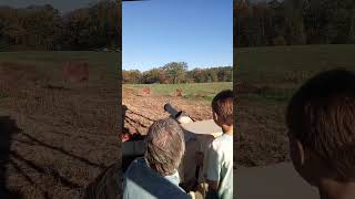 Blasting apples! #cannon #shooting #farmlife