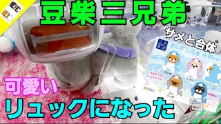 【クレーンゲーム】豆柴三兄弟がサメと合体してリュックで登場！紐を狙い続ければ必ずGET！