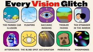 Every Vision Glitch Explained