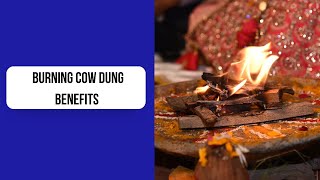 Benefits of burning Cow dung at home