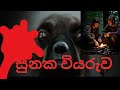 සුනක වියරුව/sinhala holman katha/ghost video