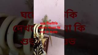 ঘরে টিকটিকি দেখতে পাওয়া কি শুভ না অশুভ #জয় শ্রী রাম 🙏🙏🙏#shorts