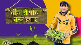 बीज से पौधे कैसे तैयार करे/ How to grow plant by seed