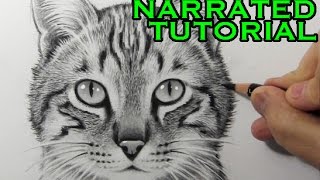 How to Draw a Cat [Narrated Step-by-Step Tutorial]