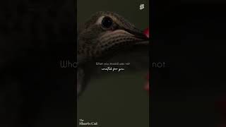 what is created for you will not be missed