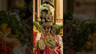 Namperumal ❤️✨ #devotional #perumal #love #perumaltemple #likes #srirangam #namperumal #status