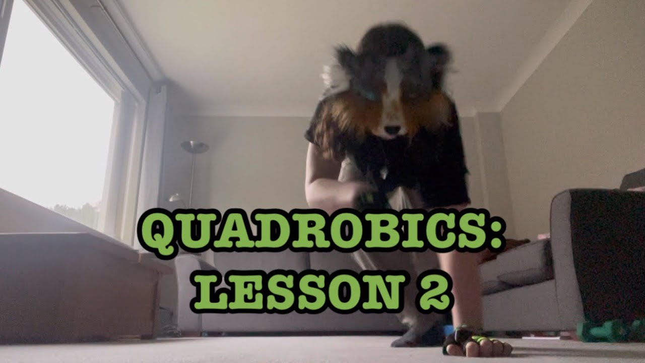 Quadrobics Lesson 2 Youtube