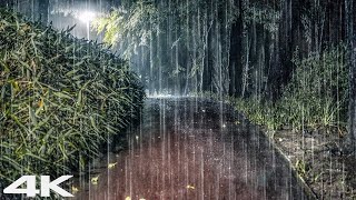 Fall Asleep Immediately with Heavy Rain on Park at Night - Relief Insomnia \u0026 Stress