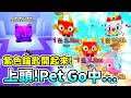 Roblox|PET GO紫色鑰匙開起來!!鴨子上頭PET GO中...#roblox