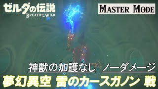 【ゼルダの伝説 ブレス オブ ザ ワイルド】【マスターモード】 夢幻異空の 雷のカースガノン (回転斬りなし)(ノーダメージ)(バグ・チート技なし)(神獣の加護なし)