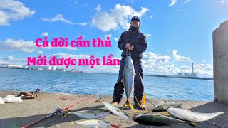 Fish fighting on the top of the wave, an angler's life is probably only once | Fishing In Japan