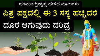 ಈ ತಿಂಗಳಿನ ಪಿತ್ರ ಪಕ್ಷದಲ್ಲಿ ಈ 3 ಸಸ್ಯ ಹಚ್ಚಿ ಜನರು ಹಚಗೆ ಕೋಟ್ಯಾಧೀಶರು ಆಗುತ್ತಿದ್ದಾರೆ ನೀವೇ ನೋಡಿರಿ Pitrapaksh