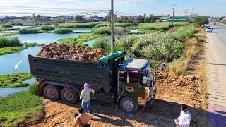 Starting New Huge Project! Dump Truck 25Ton Fill LAND, Skill Bulldozer D31P Push Soil into water