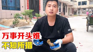 万事开头难；卸货第一车就不知所措，老婆好奇反被扎伤多次【小马行九州】