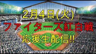 [ ファーム紅白戦 ファイターズ応援生配信!!] ファーム紅白戦 応援生配信!! （2月4日）