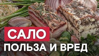 Сало – СИЛА, спорт – МОГИЛА? Вся правда про сало #сало #свиноесало