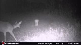 Another ghost orb caught on my trail cam @ St. Bernard Acres?