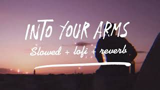 Into your Arms - Ava Max  [Slowed +  LOFI + Reverb]  slow edits | tiktok version