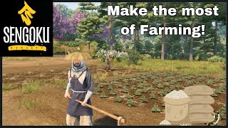 Complete guide to Farming in Sengoku Dynasty | Make the Best of your Farming | Tips and Tricks