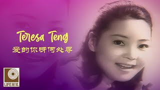 邓丽君 Teresa Teng - 爱的你呀何处寻 Ai De Ni Ya He Chu Xun (Official Video)
