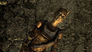 The Only Raider in Fallout: New Vegas