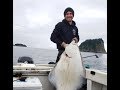 100 POUND HALIBUT CAUGHT IN SEWARD ALASKA