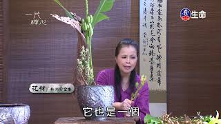 佛心花海_一片禪心_李麗淑老師_(lifetv_20191216_11:00)