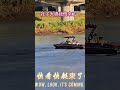 社子大橋我們來了 遊客 陽明山 擎天崗 新北市 小油坑 淡水 夕陽 銀髮族 親子遊 去哪玩 台北大縱走 景點 爬山 健行筆記 台北環騎 ubike