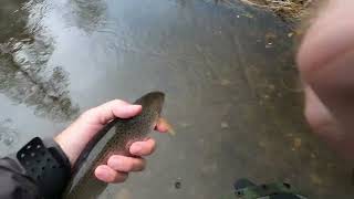 Fall Fly fishing Ardenne