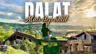 ĐÀ LẠT 4N3D: Lịch trình ĂN CHƠI cực chill | Cafe VIEW ĐỒI xinh đẹp ở Đà Lạt | Đà Lạt Vlog