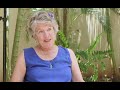 emma bragdon phd. what s unique and extraordinary about spiritist treatment