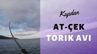 Kıyıdan Jigle Torik Avı  - Saros Körfezi Shore jigging