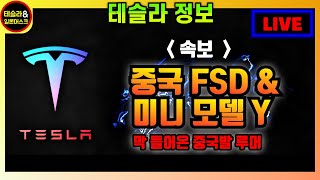 테슬라 속보(루머), 중국 FSD 베타 가능성 \u0026 신규 모델 미니 MY