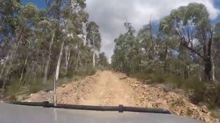 CAR CAM - Pheasant Creek Track - VERY STEEP!