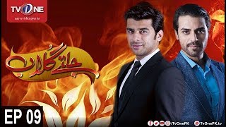 Jaltay Gulab | Episode 9 | TV One Drama | 18th November 2017